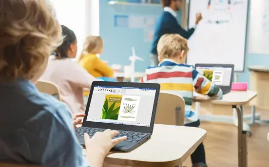 Sustainability for schools