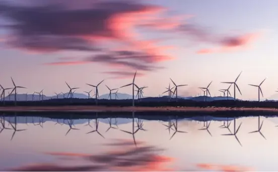 Managing carbon footprints with tangible outcomes