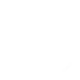 icon-expert